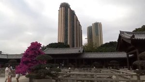 ЗООПАРК В ГОНКОНГЕ/ZOO in Hong Kong🐒