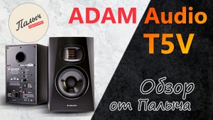 Студийный монитор ADAM Audio T5V || Обзор от Палыча