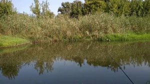 Река Лугань в Луганске.//The Lugan River in Luhansk.//