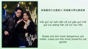 玫瑰 (Rose) - 王晰 (Wang Xi)《以爱为营 Only For Love》Chi/Eng/Pinyin lyrics