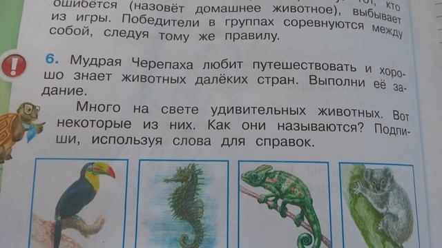 Проверяю рабочие тетради по окружающему миру 2 класс смотреть онлайн