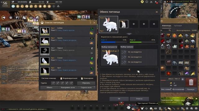 Гайд для новичков №6 (Краткий разбор "хлама" в инвентаре, заточка Нару и обмен на Туваллу) смотреть онлайн