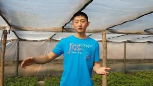 Бизнес идея. РАССАДА. Как вырастить рассаду и какую, чтоб получить прибыль.???