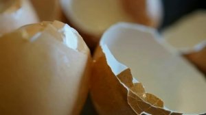Чем полезна яичная скорлупа. Как собирать и правильно использовать