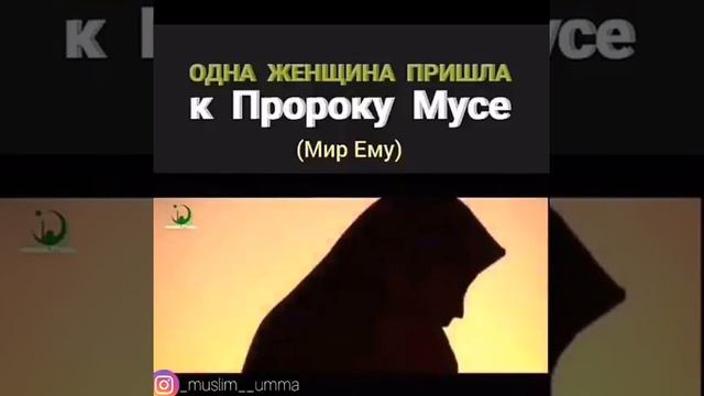 ПРОРОК МУСА