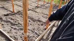 бюджетная теплица своими руками, как построить теплицу, из города в деревню, дом в деревне