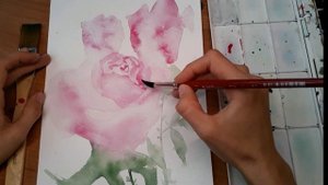 Рисуем розы акварелью.