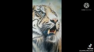 Рык тигра. Tiger ? emotions. Drawing Tiger. Тигр цветными карандашами #рисунокцветнымикарандашами