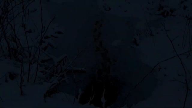 На февральском снеге тающий следочек. смотреть онлайн