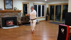 Home Training Shotokan Karate - January 6th 2021