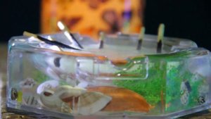 ASMR ?ТРИГГЕРЫ со спичками\ОГОНЬ И ВОДА\шипение,треск огня.