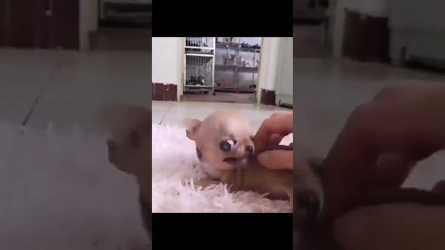 .... смотреть онлайн