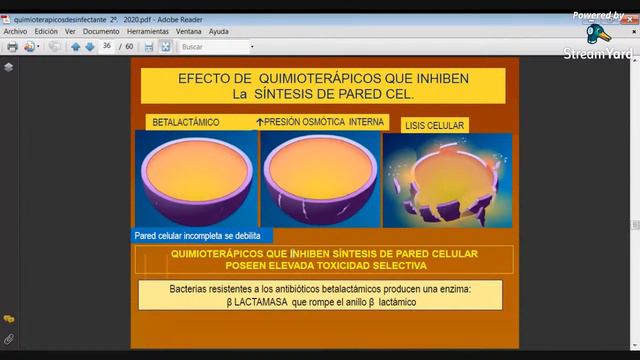 COMPUESTOS QUIMICOS: Desinfectantes y Quimiterapicos