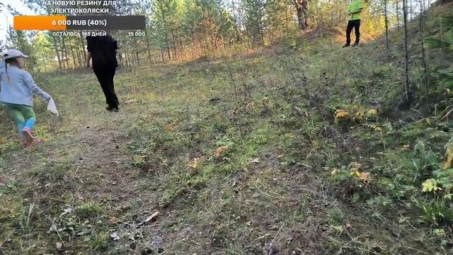 Поиск грибов смотреть онлайн