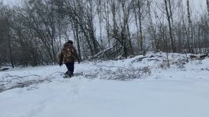 С сыном заготовили дрова мотобуксировщик Балмоторс Сноудог