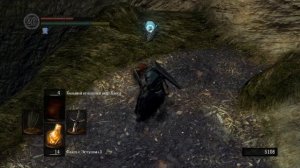 DARK SOULS гайд по сбору "НИШТЯКОВ" в локации "ПОЛОСТЬ".