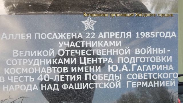 НАШЕ ПОДМОСКОВЬЕ 2021 смотреть онлайн