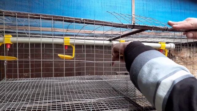 Как сделать многоярусные нипельные поилки при низком потолке.Лайфхак. смотреть онлайн