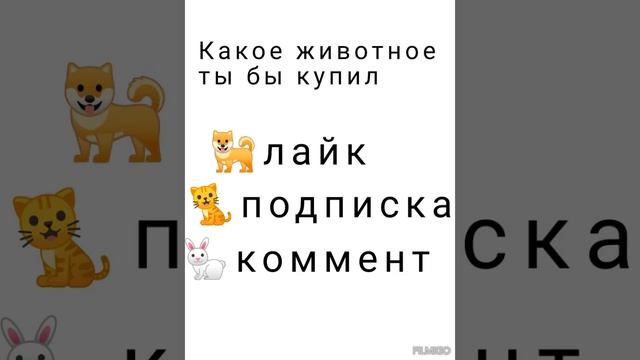 какое животное ты бы хотел(а) или у тебя он(а) есть