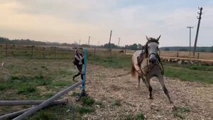Разминка  на корде  по всему  плацу. Лошадь прыгает .Внимание!