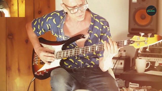 Best 12 String Bass Guitars: Everything You Need to Know