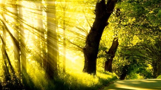 Дорожка Ума или путь Души. смотреть онлайн