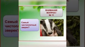 «Мы - друзья природы»