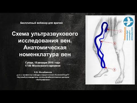 Вебинар Схема ультразвукового исследования вен. Анатомическая номенклатура вен нижних конечностей
