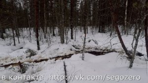 Карелия Всё о рыбалке и не только Бывает рыбалка заканчивается и так !!!