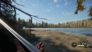 Утиная охота в The Hunter Call of the Wild