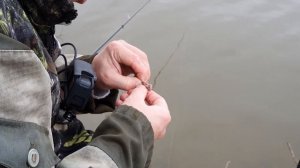 Веселая рыбалка на карася осенью. Рыбалка в Хабаровске. Курица на углях