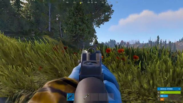 Living in a Mathematically Unraidable CASTLE - Rust смотреть онлайн