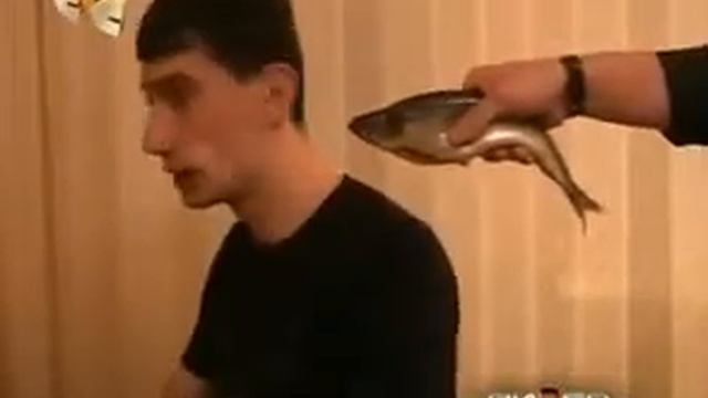 Prikoly studentov.240-ваще угар _) смотреть онлайн