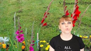 ТОНКОСТИ и СЕКРЕТЫ выращивания ГЛАДИОЛУСОВ !!!
