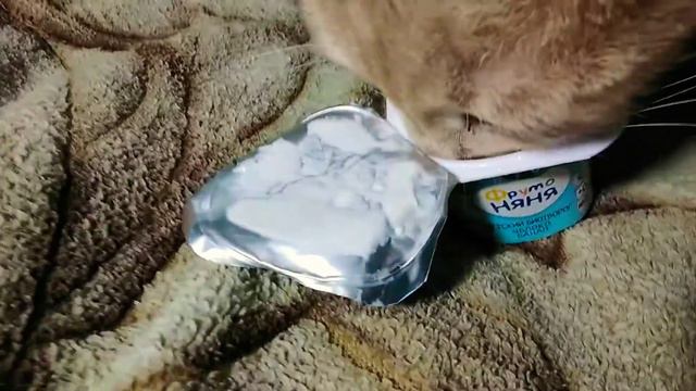 Блин у меня такой голос так ещё и другие мешаюца на зпднем фоне 😿😿 смотреть онлайн