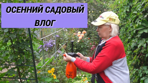 Осенний садовый влог/Обработайте сад осенью/Переделываем грядки/Чем опрыскиваю свои розы