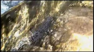 ОПАСНЫЕ РЫБЫ В КОРАЛЛОВОМ РИФЕ. SHARM PLAZA.  ШАРМ ЭЛЬ ШЕЙХ. ОТДЫХ В ЕГИПТЕ АВГУСТ 2019. ВИДЕО 5.