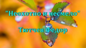 Стихи Федор Тютчев "Неохотно и несмело"