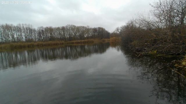 Лучшая блесна на щуку в ноябре.