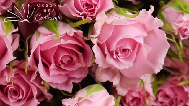 Разбитое сердце и ландыш | Анна Саксе | Сказки о цветах | Аудиосказка смотреть онлайн