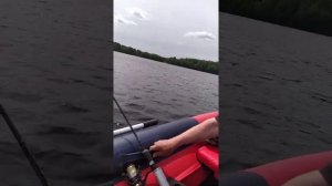 мотор сельва 15 на лодке 370 с полной загрузкой.