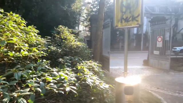 Парламент Канады проголосовал за безвиз для граждан Украины. смотреть онлайн