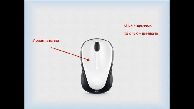Устройство компьютерной мыши просто и доступно