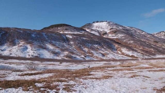 Разведываем тропу на озеро Зелёное  |  Путешествия по Камчатке