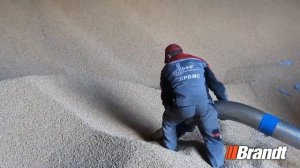 Вакуумный перегрузчик зерна Brandt GRAINVAC 5200EX