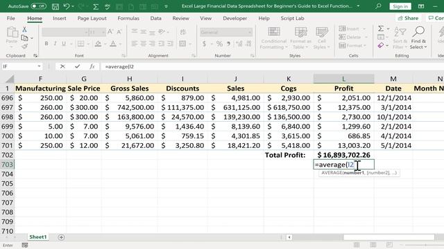 Beginner's Guide to Excel Functions and Formulas