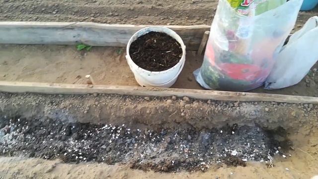 Подготовка теплицы к высадке рассады смотреть онлайн