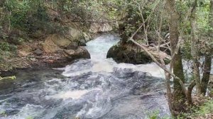 Водопад Баниас. Голанские высоты. Израиль. Banias waterfall. Golan Heights. Israel