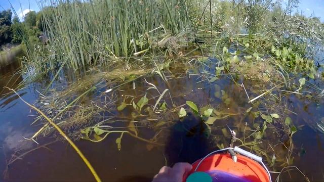 Ловим рыбу ПАЛКОЙ!!! смотреть онлайн