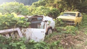 Заброшенная стоянка в Японии! Машины простояли десятки лет.